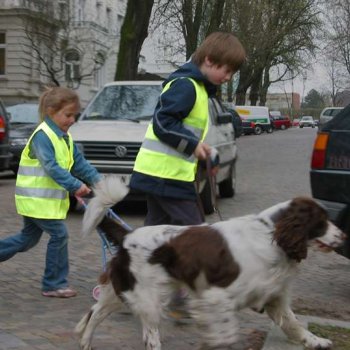 Kinder Warnweste gelb Sicherheitsweste nach DIN EN 1150