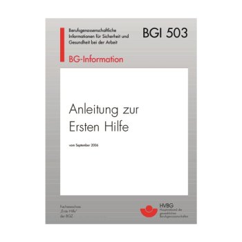 Anleitung zur Ersten Hilfe bei Unfällen nach BGI 503