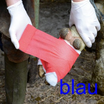 kingsmed GmbH - Privatkunden - VliVet Klauenbandage blau 10 cm x 4,5 m  HOLTHAUS selbsthaftende Bandage